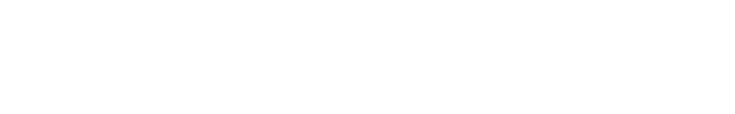 Controlauto