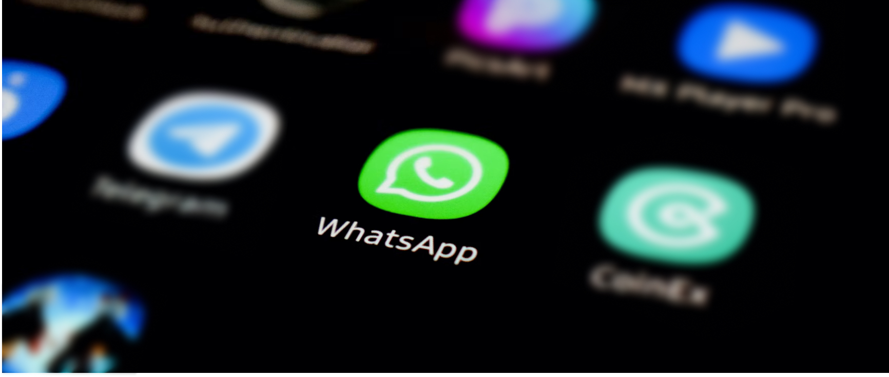 Get Better Results with WhatsApp Chatbots